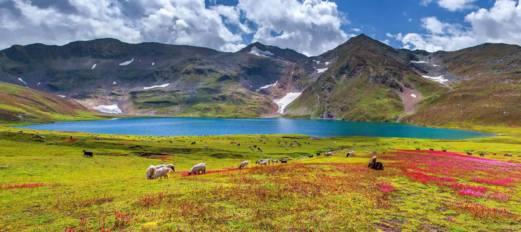Skardu Deosai