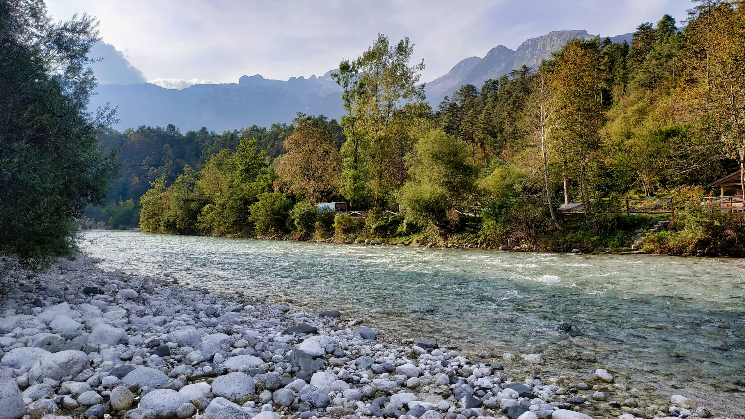 Kumrat Forest