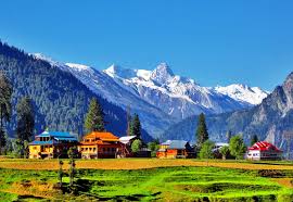 Kashmir Arangkel