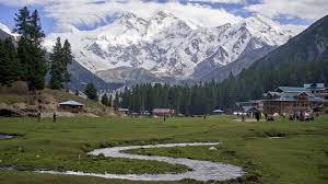 Fairy Meadows