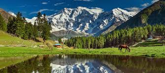 Astore Minimarg